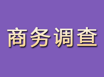 成县商务调查